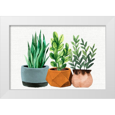 Potted Plants White Modern Wood Framed Art Print by Allen, Kimberly
