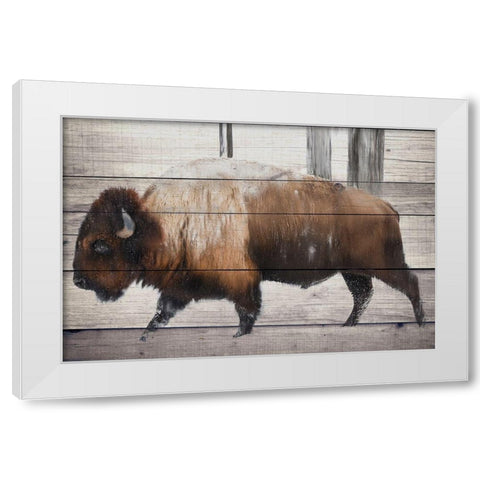 Winter Bison White Modern Wood Framed Art Print by Allen, Kimberly
