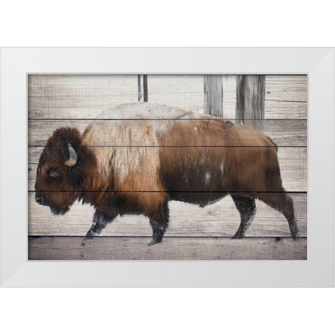 Winter Bison White Modern Wood Framed Art Print by Allen, Kimberly