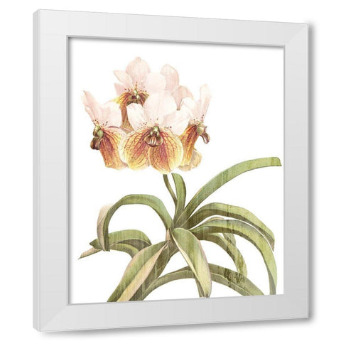 Orchid Love 3 White Modern Wood Framed Art Print by Kimberly, Allen