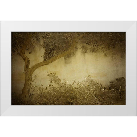 Olive Tree White Modern Wood Framed Art Print by Allen, Kimberly