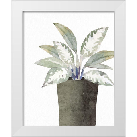 Olive Pot 2 White Modern Wood Framed Art Print by Allen, Kimberly