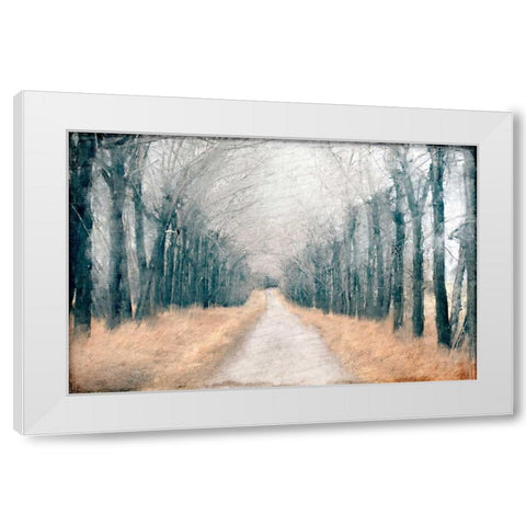Pathway in the Mist White Modern Wood Framed Art Print by Allen, Kimberly