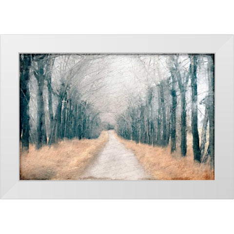 Pathway in the Mist White Modern Wood Framed Art Print by Allen, Kimberly