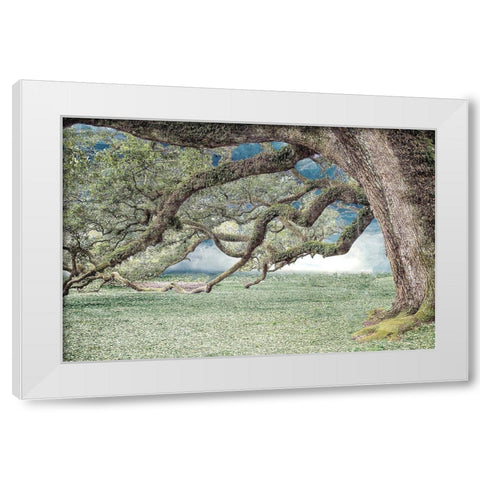 Under the Branches White Modern Wood Framed Art Print by Allen, Kimberly