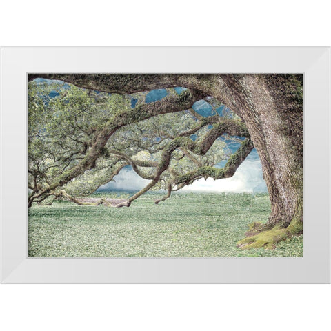 Under the Branches White Modern Wood Framed Art Print by Allen, Kimberly