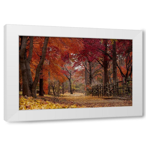 Autumn Stroll White Modern Wood Framed Art Print by Allen, Kimberly