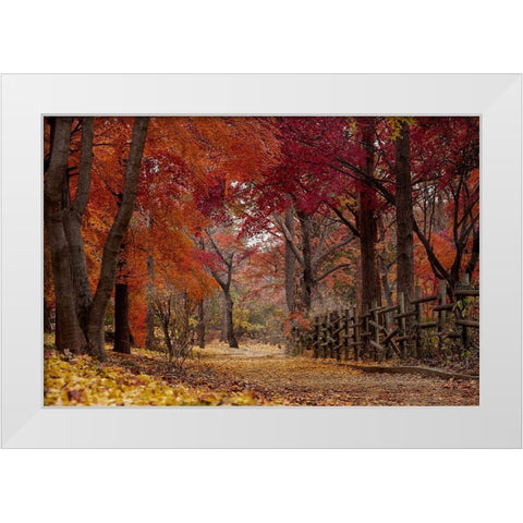 Autumn Stroll White Modern Wood Framed Art Print by Allen, Kimberly