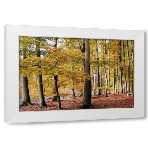 Autumn Walk White Modern Wood Framed Art Print by Allen, Kimberly