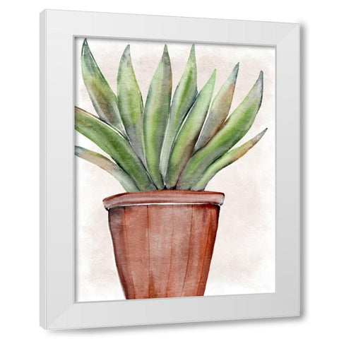 Succulent Plant 1 White Modern Wood Framed Art Print by Allen, Kimberly