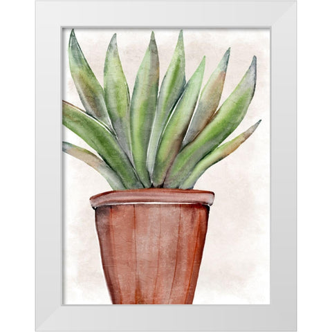 Succulent Plant 1 White Modern Wood Framed Art Print by Allen, Kimberly