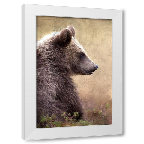 Watch White Modern Wood Framed Art Print by Allen, Kimberly