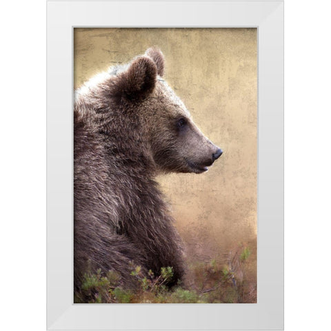 Watch White Modern Wood Framed Art Print by Allen, Kimberly