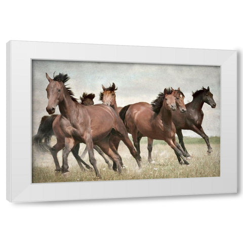 Running Wild Horses White Modern Wood Framed Art Print by Allen, Kimberly