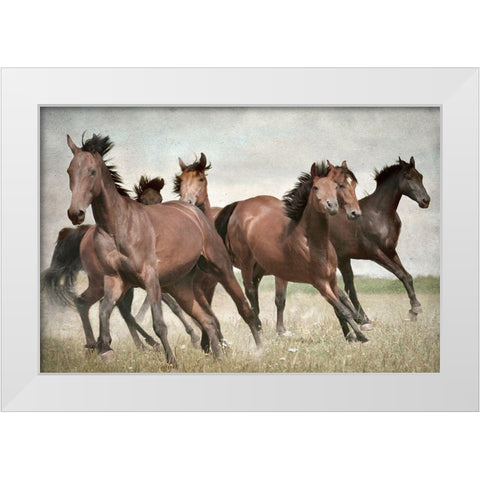 Running Wild Horses White Modern Wood Framed Art Print by Allen, Kimberly