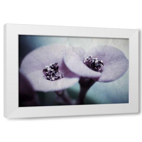 My View White Modern Wood Framed Art Print by Allen, Kimberly