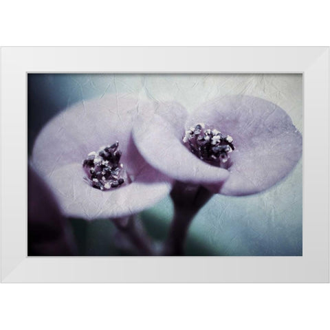 My View White Modern Wood Framed Art Print by Allen, Kimberly