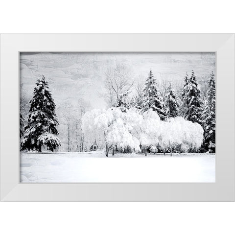 Winter Snow White Modern Wood Framed Art Print by Allen, Kimberly