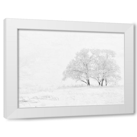 Winter White White Modern Wood Framed Art Print by Allen, Kimberly