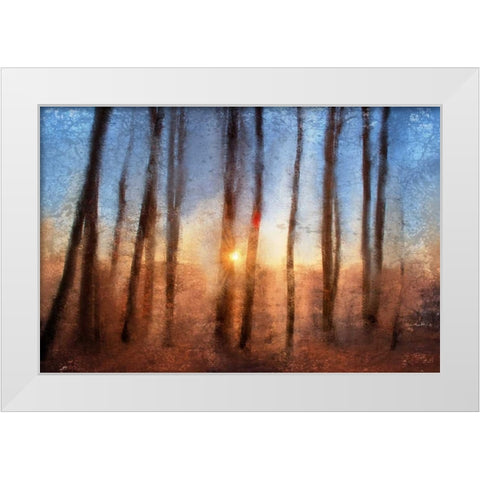 Sunset White Modern Wood Framed Art Print by Allen, Kimberly