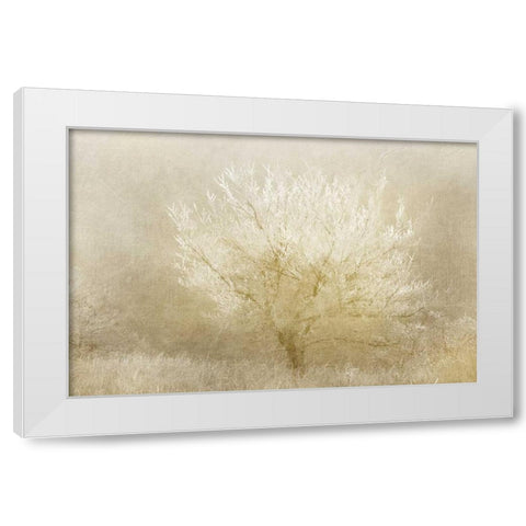 Dreaming Tree White Modern Wood Framed Art Print by Allen, Kimberly