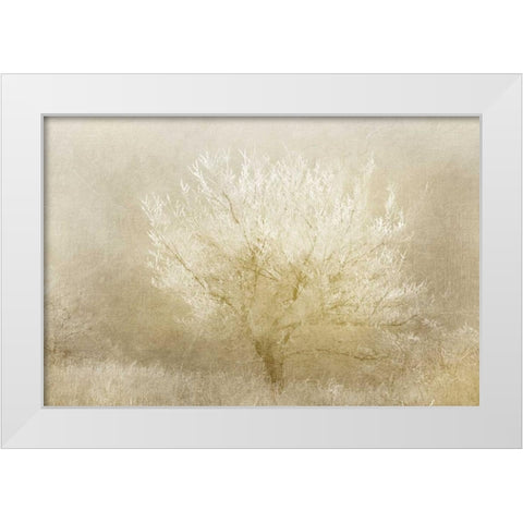 Dreaming Tree White Modern Wood Framed Art Print by Allen, Kimberly