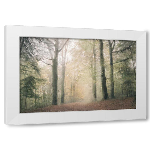 Morning Walk White Modern Wood Framed Art Print by Allen, Kimberly