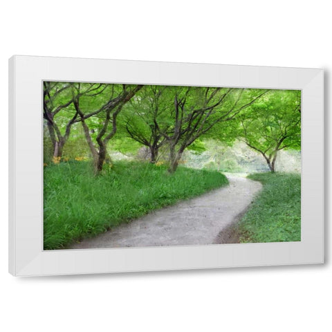 Along the Path White Modern Wood Framed Art Print by Allen, Kimberly