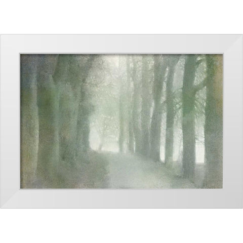Natural Walkway White Modern Wood Framed Art Print by Allen, Kimberly