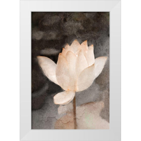 Lotus Bloom White Modern Wood Framed Art Print by Kimberly, Allen