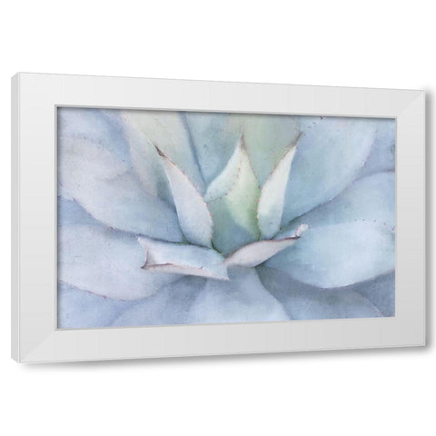 Serene Succulent White Modern Wood Framed Art Print by Allen, Kimberly
