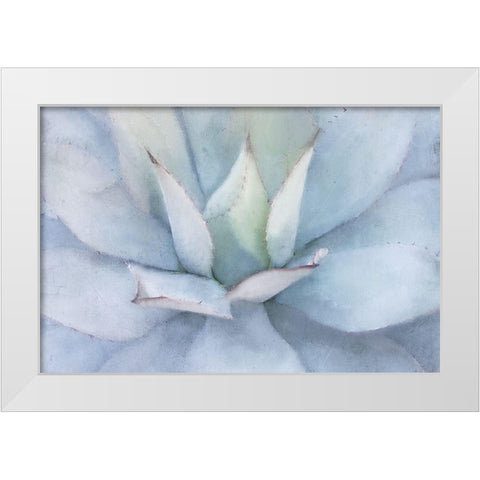 Serene Succulent White Modern Wood Framed Art Print by Allen, Kimberly