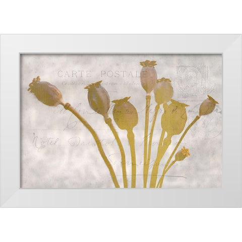 Poppy Buds White Modern Wood Framed Art Print by Kimberly, Allen
