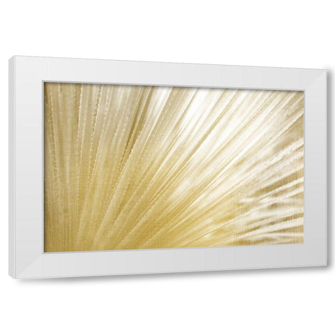 Golden Succulent White Modern Wood Framed Art Print by Kimberly, Allen