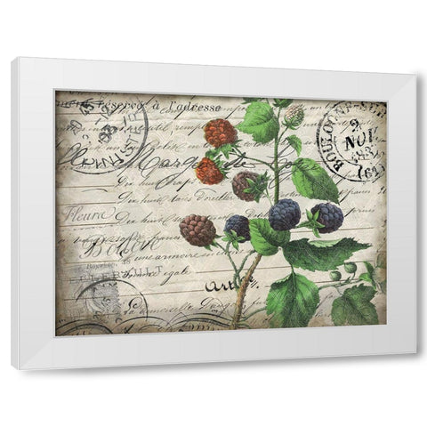 Vintage Blackberries White Modern Wood Framed Art Print by Kimberly, Allen