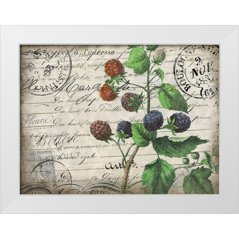 Vintage Blackberries White Modern Wood Framed Art Print by Kimberly, Allen