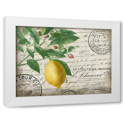 Vintage Lemon White Modern Wood Framed Art Print by Kimberly, Allen