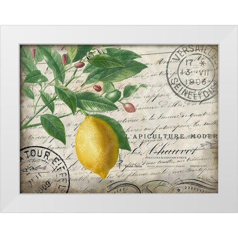 Vintage Lemon White Modern Wood Framed Art Print by Kimberly, Allen