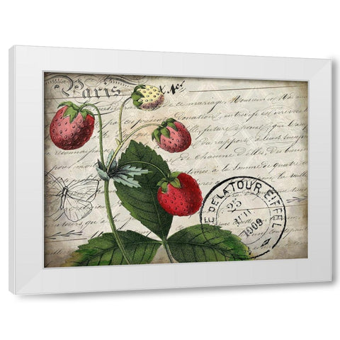 Vintage Strawberry White Modern Wood Framed Art Print by Kimberly, Allen