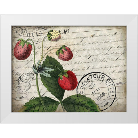 Vintage Strawberry White Modern Wood Framed Art Print by Kimberly, Allen