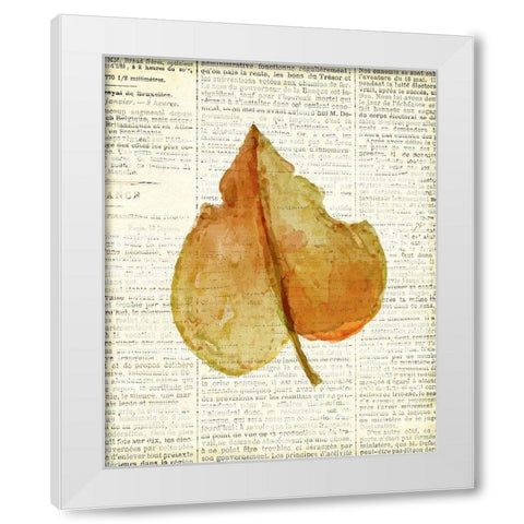 In the Fall 3  White Modern Wood Framed Art Print by Kimberly, Allen