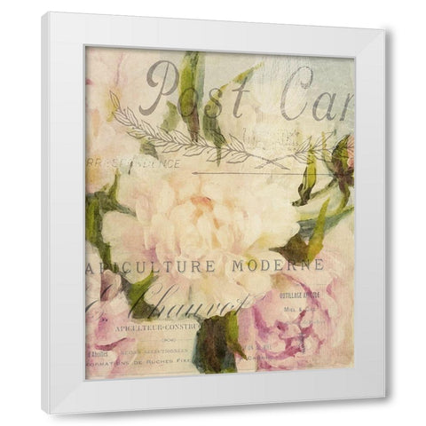Summer Blooming Series C White Modern Wood Framed Art Print by Kimberly, Allen