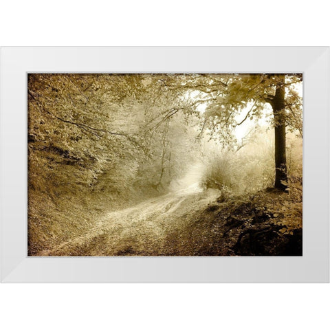 Autumn walk White Modern Wood Framed Art Print by Kimberly, Allen