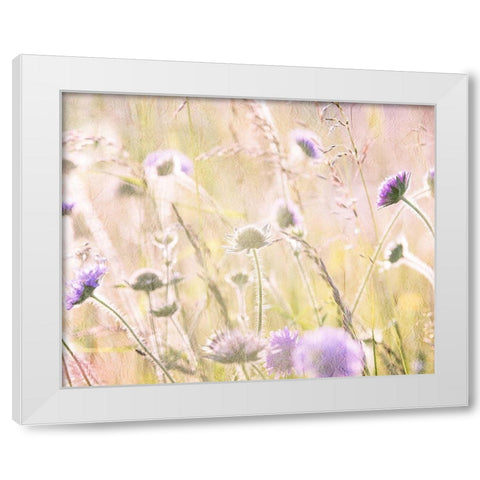 Hazy Afternoon Sun 2 White Modern Wood Framed Art Print by Kimberly, Allen