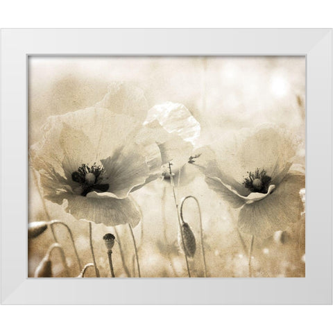 Vintage Poppy 1 White Modern Wood Framed Art Print by Kimberly, Allen