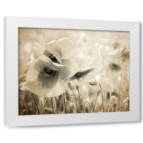 Vintage Poppy 2 White Modern Wood Framed Art Print by Kimberly, Allen