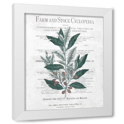 Botanical 1 White Modern Wood Framed Art Print by Kimberly, Allen