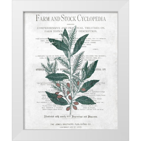 Botanical 1 White Modern Wood Framed Art Print by Kimberly, Allen