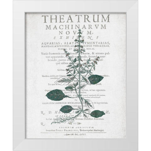 Botanical 2 White Modern Wood Framed Art Print by Kimberly, Allen