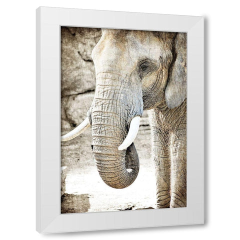Ageless White Modern Wood Framed Art Print by Kimberly, Allen